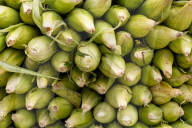 Farmers Market 