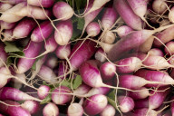 Farmers Market 