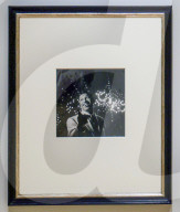 Cecil Beaton's Fashionable World Photo Call