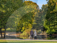 Senior Citizens In Autumn Park