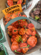 Hot Peppers