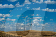 Windfarm In Washington State