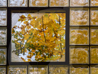 Autumn Colors In An Abandoned Place