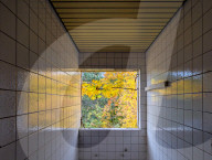 Autumn Colors In An Abandoned Place