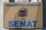 Daily Life In Bucharest