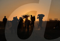 Palestinians walk north to Gaza City after cease fire
