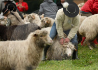 Autumn Redyk In Nowy Targ