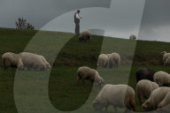 Autumn Redyk In Nowy Targ