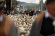 Autumn Redyk In Nowy Targ