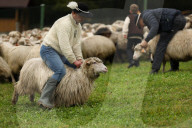 Autumn Redyk In Nowy Targ