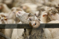 Autumn Redyk In Nowy Targ