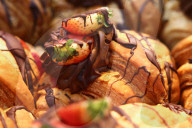 Economy And Business In Poland