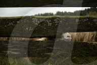 Autumn Redyk In Nowy Targ