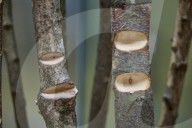Maret Anne Sara installation in the Tate Modern Turbine Hall in London