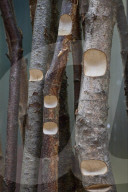 Maret Anne Sara installation in the Tate Modern Turbine Hall in London