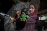 Animals kept in horrific conditions in Gaza "zoo"