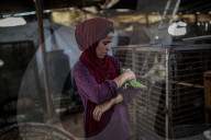 Animals kept in horrific conditions in Gaza "zoo"