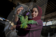 Animals kept in horrific conditions in Gaza "zoo"