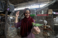 Animals kept in horrific conditions in Gaza "zoo"