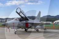 Seoul ADEX 2025 Day 1