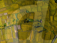 Aerial View Of Paddy Farmland In Nepal