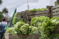 Farmers Hand Out Free Food In Protest In Buenos Aires