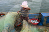 Chellanam Fishing Harbour In Kochi