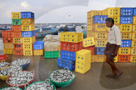Chellanam Fishing Harbour In Kochi