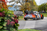 FIA WRC - Central European Rally - Day 2