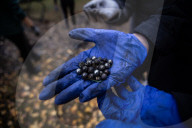  Russian Drone Explodes In Sumy Preschool Playground