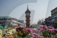 Chrysanthemum Autumn Flower Show 2025 (Gul‚Äëe‚ÄëDawood) In Kashmir, India