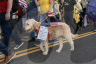 No Kings Protest In Washington D.C.