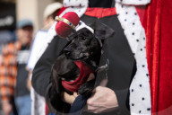 Millions Demonstrate In “No Kings” Protests Across The U.S. 