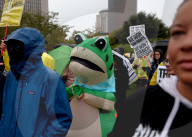 No Kings Protest - St Louis