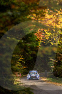 FIA WRC - Central European Rally - Day 4