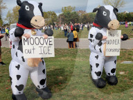 No Kings Rally In Rochester, United States