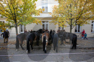 Netflix Transforms Warsaw Old Town For Lalka Movie