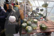 Annual Pumpkin Festival Warsaw