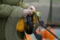 Annual Pumpkin Festival Warsaw