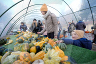 Annual Pumpkin Festival Warsaw