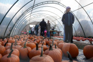 Annual Pumpkin Festival Warsaw
