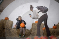 Annual Pumpkin Festival Warsaw