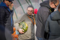 Annual Pumpkin Festival Warsaw