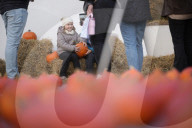 Annual Pumpkin Festival Warsaw