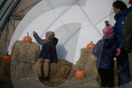 Annual Pumpkin Festival Warsaw
