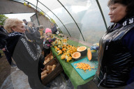 Annual Pumpkin Festival Warsaw