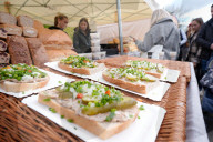Annual Pumpkin Festival Warsaw