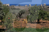 Daily Life In Cyprus