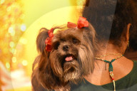 People Are Celebrating Diwali In Kolkata, India