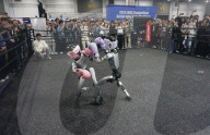 UNITREE Robot Fighting at IROS 2025